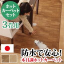 ホットカーペット カバー 防水 木目調ホットカーペット・カバー 〔ウッディ〕 3畳用(250x198)+ホットカーペット本体 2点セット(代引不可)【送料無料】【smtb-f】