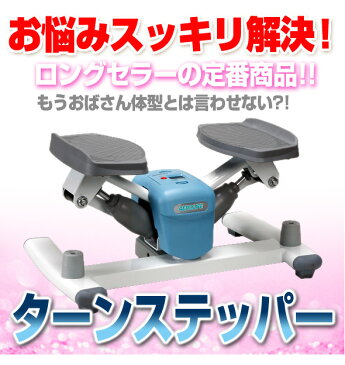 エアロライフ ターンステッパー MR DR-3868 骨盤 エクササイズ ダイエット ステッパー (代引き不可)【送料無料】