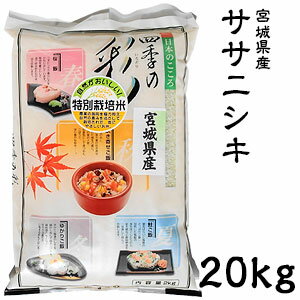 米 日本米 令和3年度産 宮城県産 ササニシキ 20kg ご注文をいただいてから精米します。【精米無料】【特別栽培米】【ささにしき】【新米】（代引き不可）【送料無料】