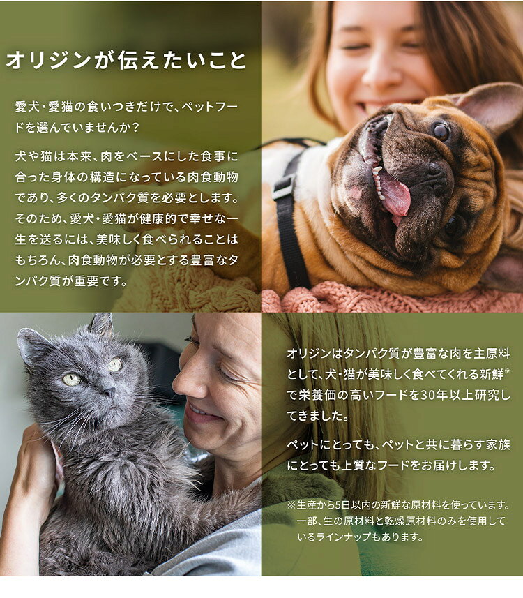 【3個セット】 オリジン シニア 2kg x3 6kg ドライフード ドッグフード 犬用 フード ORIJIN【送料無料】 rcmdbe-10916910 リコメン堂ペット館 サンプル画像3
