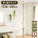 日本製 キャットタワー 突っ張り型 木製 高さ240~250cm 宇宙船付 滑り止め 省スペース スリム シンプル 高耐久性 高強度 爪とぎ 爪砥ぎ 木目 ウッ...