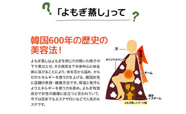 NEW よもぎゅっと40枚入り (20枚×2箱) ヨモギ蒸しホットナプキン 【あす楽対応】【送料無料】