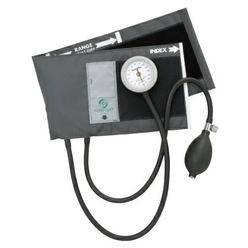 アイゼンコーポレーション ギヤフリーアネロイド血圧計 カラー:グレー GF700-01【送料無料】 1
