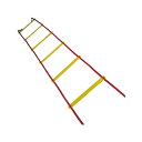 ミカサ(MIKASA) 器具 ラダートレーナー FLD2【送料無料】