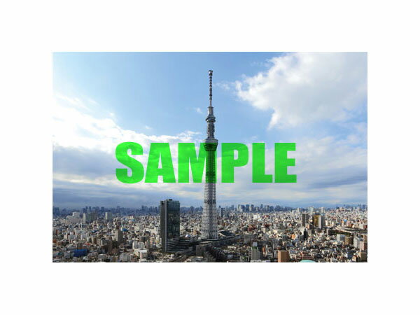 ジグソーパズル 東京スカイツリーアナザーサイド YNM-1234