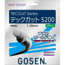 GOSEN(ゴーセン) テックガット5200 ナチュラル SS602NA