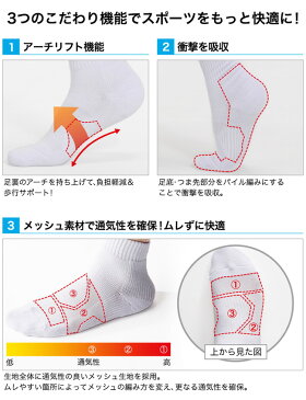 ファイテン(PHITEN) phiten スポーツソックス セミロング2足セット(ホワイト27~29cm) AL907375