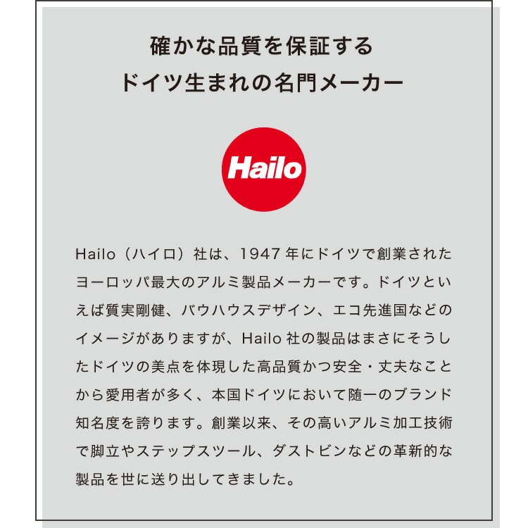 リコメン堂インテリア館のHailo ハイロ ゴミ箱 ごみ箱 ダストボックス ニュービッグボックス40L 40リットル 白 ホワイト 屋外 スリム ふた付き キッチン おしゃれ スタイリッシュ 角型 大容量 スチール ドイツ製(代引不可)【送料無料】｜アングル2