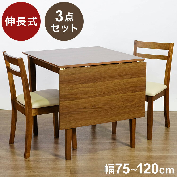 バタフライテーブル ダイニングチェア2脚セット ダイニングセット 片バタ 伸長式 伸縮式 省スペース ダイニングテーブル 一人暮らし 新生活 シンプル おしゃれ 北欧(代引不可)【送料無料】