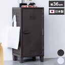 ロッカー風収納ケース ペグボード付き 扉 キャビネット ラック 棚 収納ボックス プラスチック収納 フィッツ Fits おしゃれ シンプル(代引不可)【送料無料】