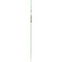 SIBATA メスピペット 中間目盛 スーパーグレード 0.2mL 02001002A(代引不可)