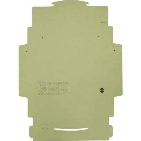 キングコーポ ポストインカートン A4 50枚入 190431(代引不可)【送料無料】