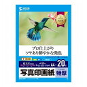 サンワサプライ インクジェット写真印画紙・特厚 JP-EP2NA4N(代引不可)【メール便配送】【送料無料】