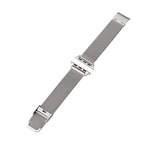 エレコム Apple Watch用ミラネーゼステンレスバンド (41/40/38mm) AW-41BDSSMSV(代引不可)