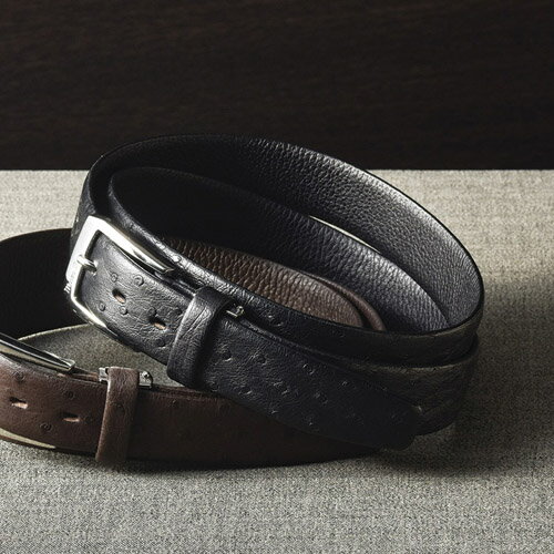 オーストリッチ ベルト ブラック 雑貨 ホビー インテリア 雑貨 雑貨品【送料無料】