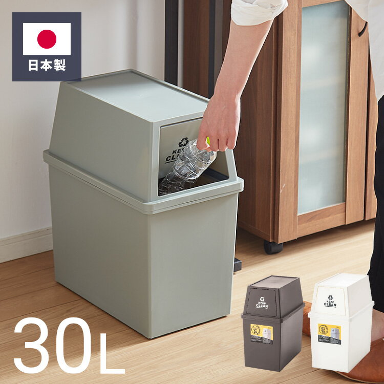 ゴミ箱ごみ箱ダストボックス30L幅...