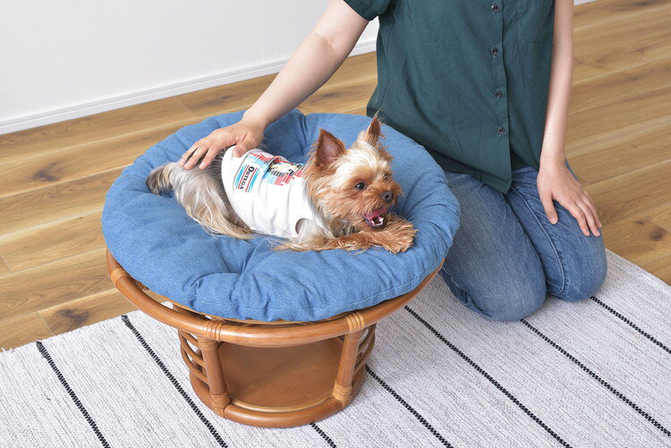 スツール ペットスツール 椅子 チェア ペット イヌ ネコ 犬 猫 クッション ラタン 収納 ゆったり おしゃれ リビング アニマル(代引不可)【送料無料】 [2]