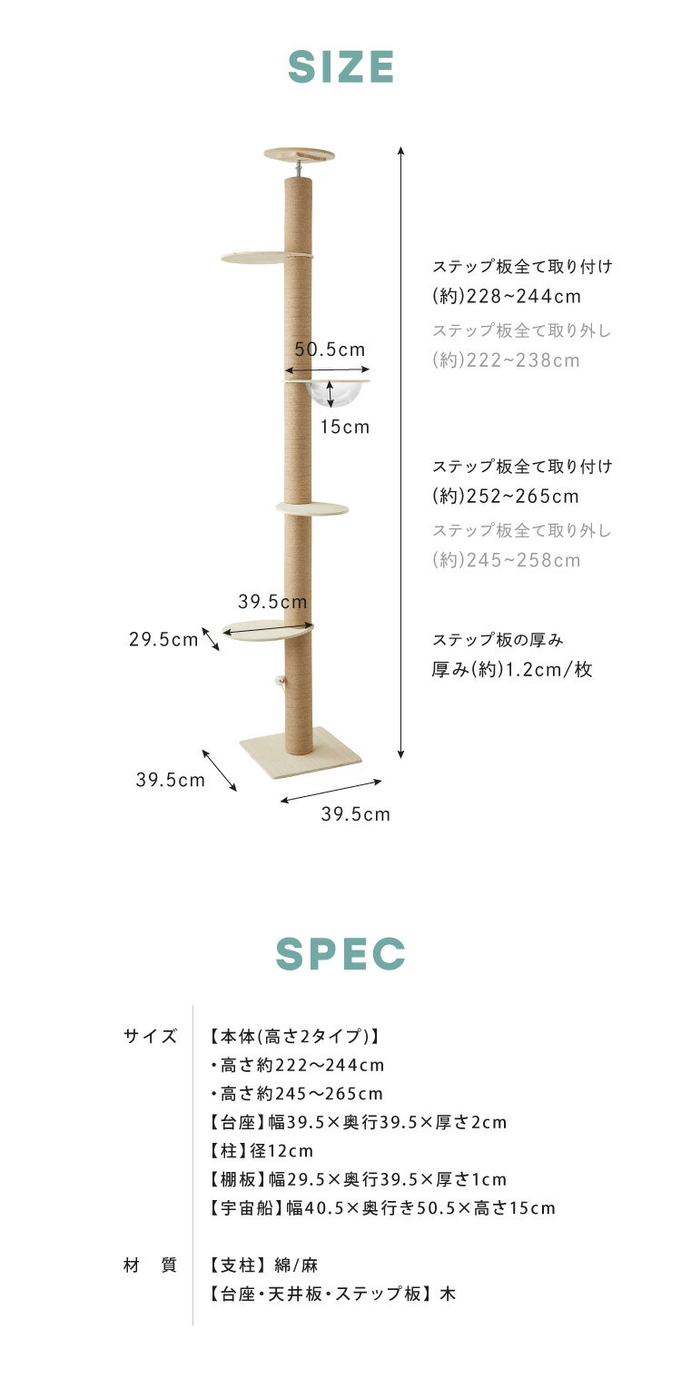 サンプル画像3