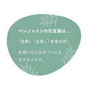 rcmdin:11485831のサンプル画像3