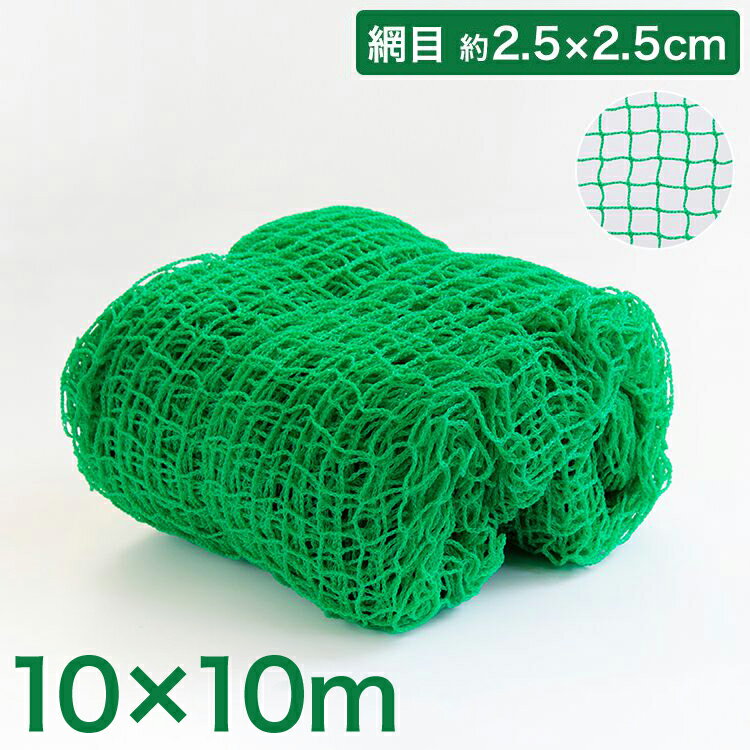 バックネット 野球 10×10m 網目2.5cm グリーン 防球ネット ネット 保護用ネット 養生 多目的ネット ゴルフネットバッティングネット カラスよけ ゴミネット カーゴネット グリーンネット テニス サッカー【送料無料】