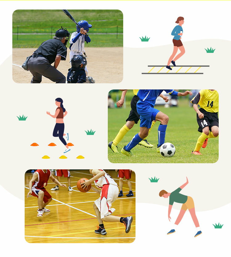 ����� �ȥ졼�˥� 6m ��Ǽ���դ� �ޡ����������� 10�� ���å� �ץ졼�� 12�� �������� ���å��� �եåȥ��� ��� Φ�� �ƥ˥� �Х��� ������� ���� ������ �Ҿ��� ��ȯ�� �Ҥɤ� ��� ���ݡ��� ����ư ���� ���� ���� ������̵����