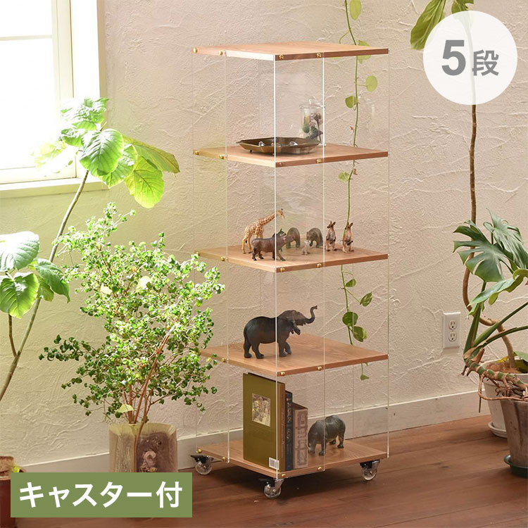 アクリルラック 5段 アクリル ディスプレイラック 宙に浮く透明サイド&ゴールドアクセント付きアクリルラック 5段ディスプレイラック 透明サイドラック 宙に浮くラック 見せる収納【送料無料】