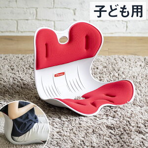 骨盤サポートチェア My Comfy Child 子供用 ボディメイクシート 骨盤矯正 椅子 姿勢 メイクシート スタイル イス 座椅子 腰 猫背 クッション ゆがみ 腰痛 対策 骨盤矯正 姿勢矯正 学習 勉強(代引不可)【送料無料】