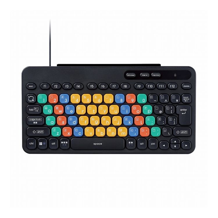 エレコム ELECOM 有線キーボード コンパクト カラー キーボード Caps Lock機能無効化スイッチ 【 Windows PC Chromebook 対応 】 抗菌 カードスタンド付 ブラック(代引不可)【送料無料】
