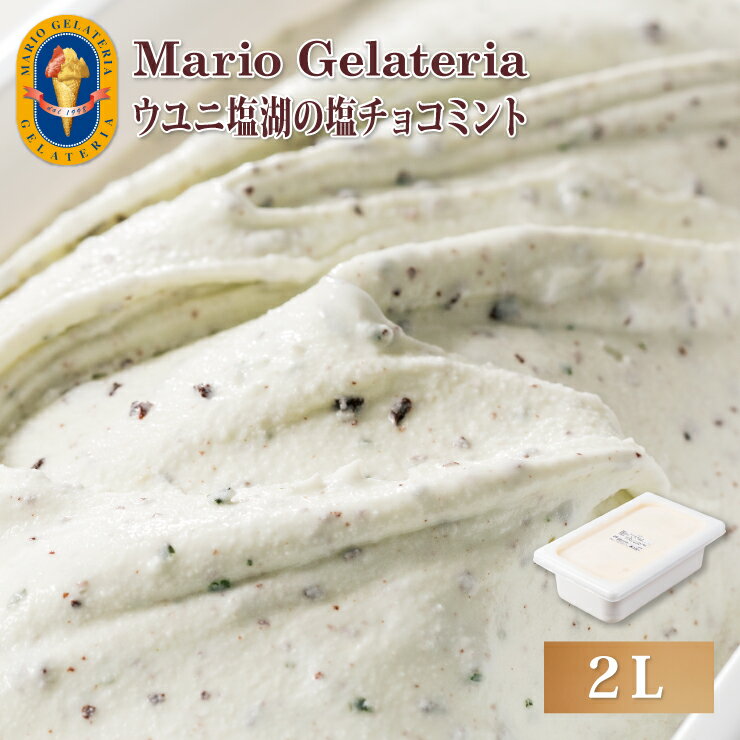 マリオジェラテリア 業務用ジェラート ウユニ塩湖の塩チョコミント 【2L】 ジェラート アイス(代引不可)【送料無料】