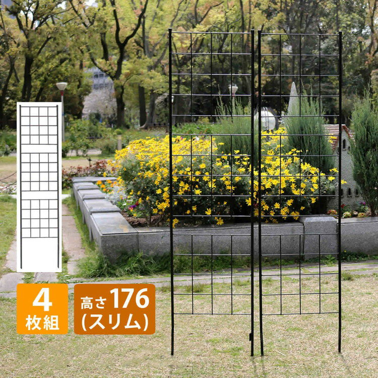 ե ⤵176 ֥ա 4 IF-GR025-4P ե  ǥե ǥ˥   ...