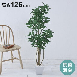 フェイクグリーン カボックツリー 約126cm 抗菌 消臭 観葉植物 フェイク 光触媒 人工観葉植物 インテリア おしゃれ 鉢 植木 葉 枝 木 室内 玄関 リビング オフィス 爽やか(代引不可)【送料無料】