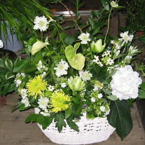 フラワーアレンジメント 白花とグリーンの花のアレンジ 生花 (誕生日 プレゼント アレンジ フラワーギフト 花 電報 結婚祝い ギフト 結婚記念日 退職祝い 出産祝い)(代引き不可)【送料無料】のサムネイル