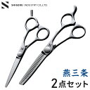 燕三条の髪はさみ 2点セット シゲル工業 美容師のカットはさみ/スキばさみ 桐箱入り 家庭用 セルフカット 本格仕様 カット鋏 スキ鋏 散髪はさみ 子ども ヘア...