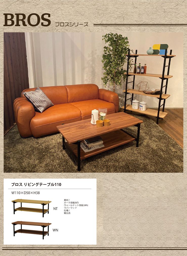 ローテーブル リビング テーブル ブロス リビングテーブル 収納 収納棚付き モダン おしゃれ かわいい(代引不可)【送料無料】 [2]