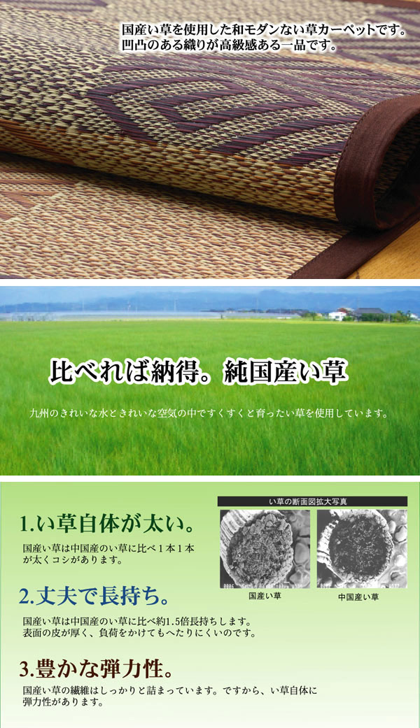 純国産 い草花ござカーペット 『五風』 ブラウン 江戸間6畳(約261×352cm)【送料無料】【代引き不可】 [2]