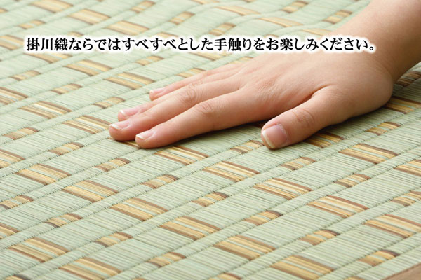 掛川織 い草カーペット 『雲仙』 ブルー 本間8畳(約382×382cm)(代引不可)【送料無料】 [3]