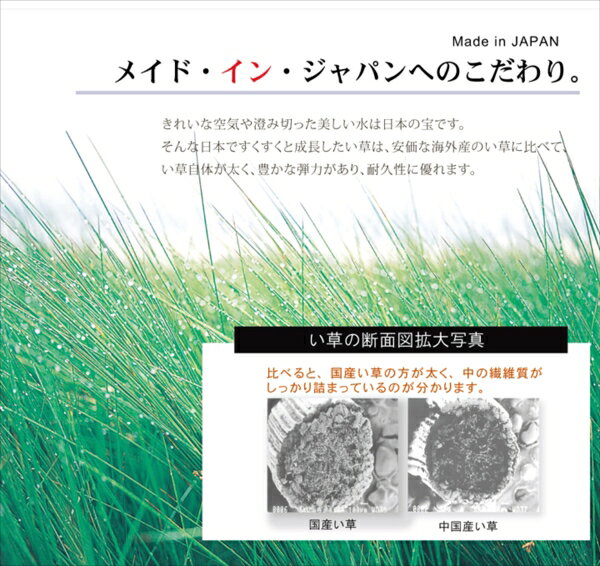 ラグ カーペット マット い草中敷ラグ 裏張り有り 3畳 日本製 い草 オリエンタル柄 『DXオーディーン』 ブラウン 約191×250cm(代引不可)【送料無料】 [3]