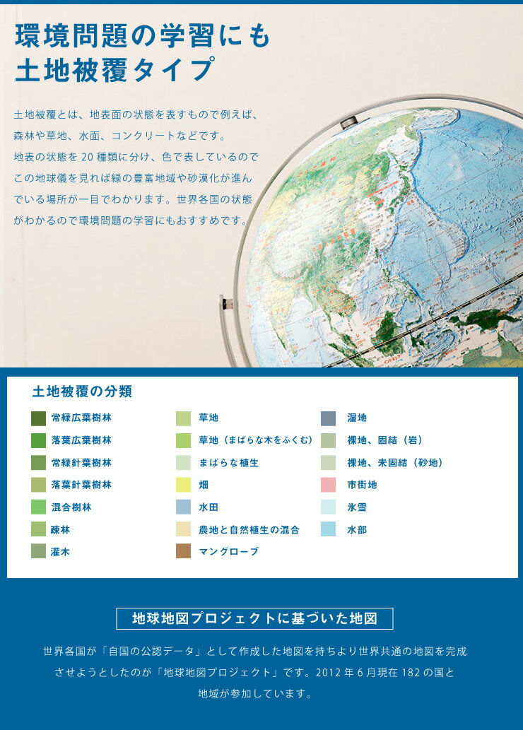 地球儀 レイメイ藤井 全回転フレーム 球径30cm 土地被覆タイプ 地球儀スケール 時差表示 低反射 学習 自由研究 子供用 グローブ インテリア 卓上 プレゼント ギフト 入学祝い 知育 玩具 トイ OYV260 【送料無料】