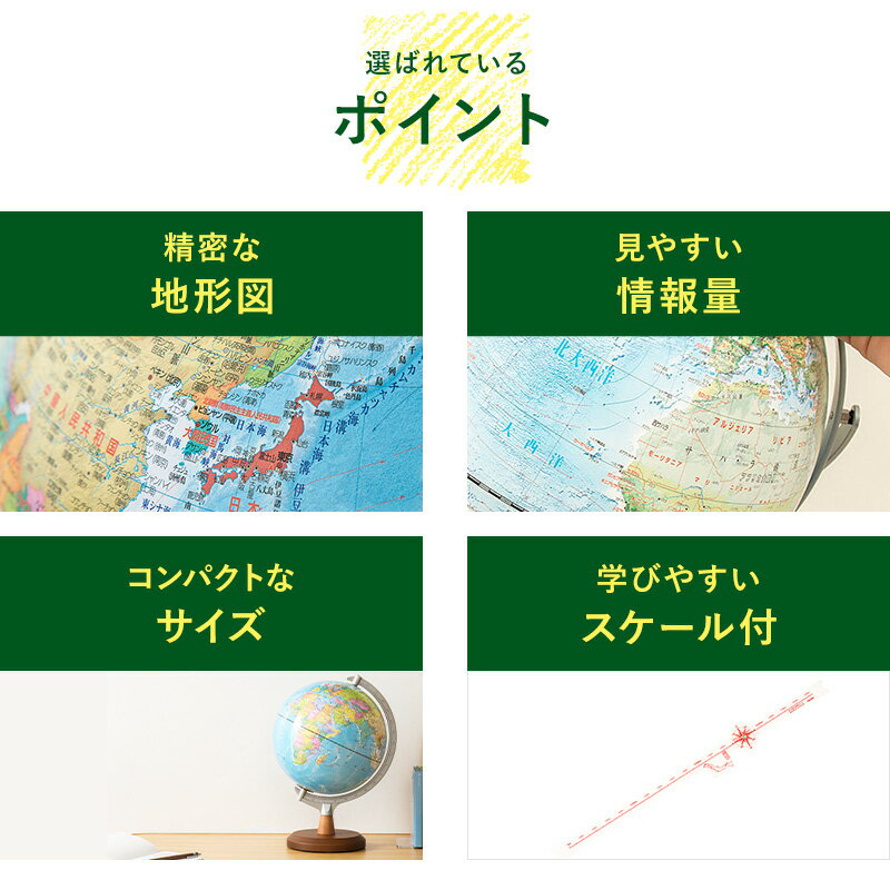 地球儀 レイメイ藤井 先生オススメ!!小学校の地球儀 径20cm 行政タイプ 地球儀スケール 地図帳 学習 自由研究 子供用 小学生 グローブ インテリア 卓上 プレゼント ギフト 入学祝い 知育 玩具 トイ OYV11 【送料無料】