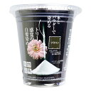 自然彩色 白髪染め 染美A ナチュラルブラウン 30g【送料無料】
