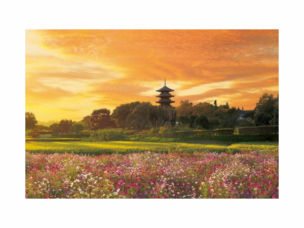 ジグソーパズル 夕暮れの備中国分寺-岡山 24-607