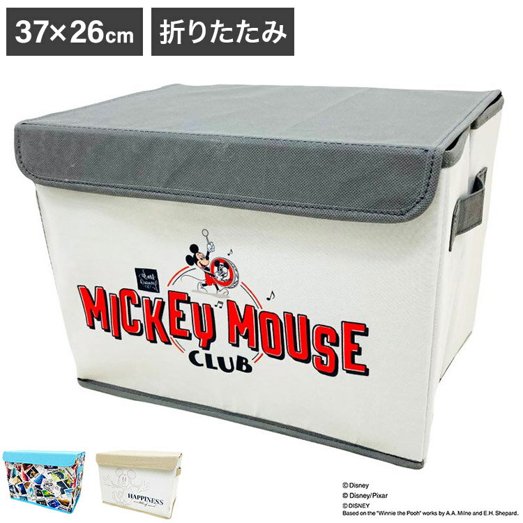 ディズニー 100周年デザイン 収納ボックス ミッキ-マウスクラブ ワールドスタンプ スケッチ 収納ケース 収納ボックス 大人用 子供用 兼用 D100 Disney(代引不可)【送料無料】のサムネイル