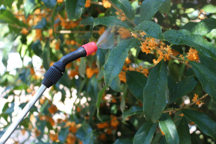 �ޥ�ϥ����� �߰���ʮ̸�� �ϥ��ѡ� 4L(����Բ�)������̵����