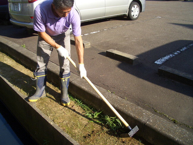 �ѥ�ե른���� ������ ť��������٥� ���� ������ ���ݽ� �ѿ�ϩ �ݽ�ƻ�� �ݽ��Ѷ� �����Ѷ� ������ �ݽ����å�(����Բ�)������̵����