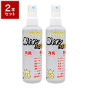 2本組 銀イオンAG 10冠王 100ml 消臭 除菌 抗カビ 抗ウイルス 抗菌 無臭 消毒 ノンアルコール ノン塩素 ノン化学物質(代引不可)【送料無料】