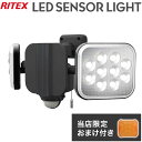 【限定おまけ付き】 RITEX ライテックス LEDセンサーライト 12W×2灯 フリーアーム式 LED LED-AC2024 ワイド センサーライト 投光器 防..