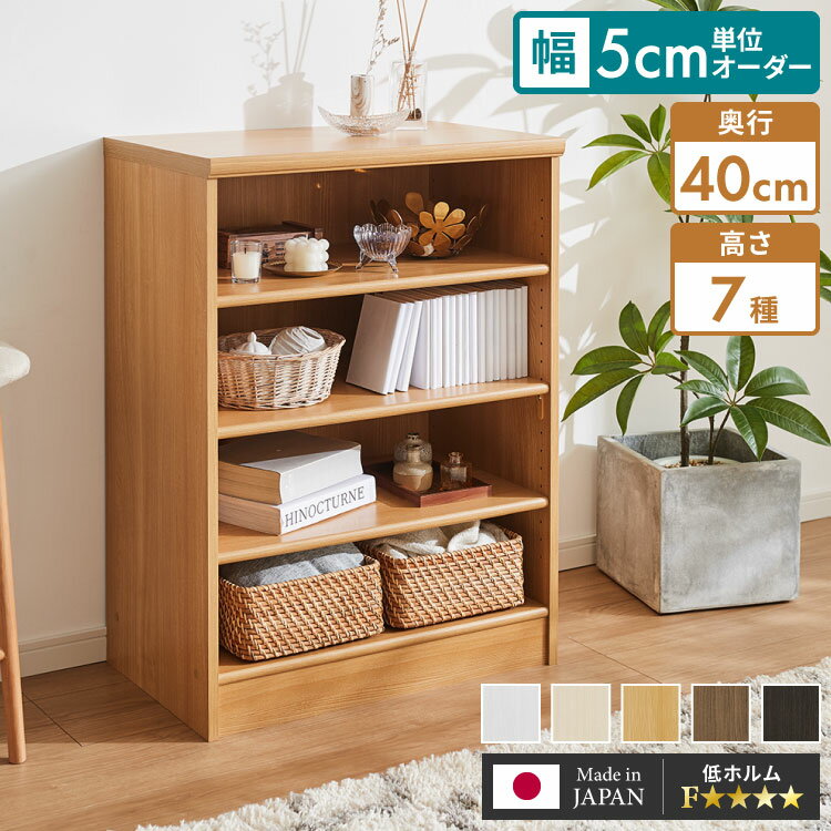 ꥳƲƥꥢۤ㤨 5cmñ ߥå ê 40cm ⤵7ʳ ᥤ ê  ê å ּǼ ּǼ  󥿡Ǽ(Բġ̵ۡפβǤʤ100ߤˤʤޤ