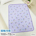 クールブランケット ラプンツェル 100×70cm リバーシブル パイル生地 接触冷感シリーズ ディズニー かわいい おしゃれ プレゼント ギフト お昼寝(代引...