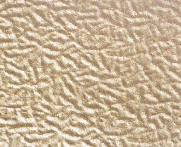 ���ե��� ������� ���ե���������� ����å� ����� ���å� �ե꡼�����󥹥�åѥ����å�4���ȡ�(������Բ�)������̵����