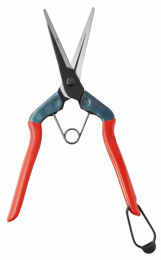 近正 近正 本職園芸用 芽切鋏ロング T-570